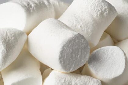 Fluffy Delight: The Timeless Charm of Classic Vanilla Marshmallows
