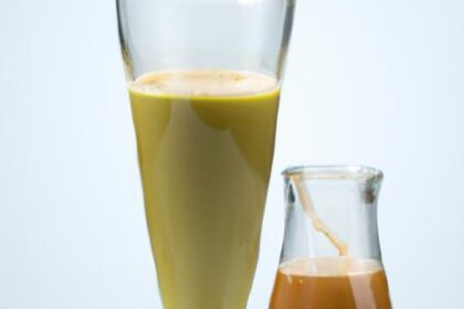 Energize Your Day: Celery Juice with Apple & Ginger Boost