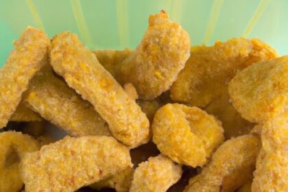 Crispy Delights: Top Airfryer Recipes for Every Meal