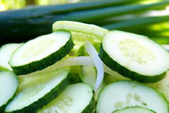 Refreshing & Simple Cucumber Salad Recipe You’ll Love