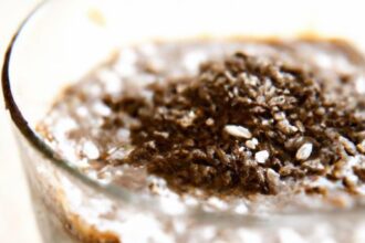 Boost Your Day: Delicious Chocolate Protein Chia Pudding Recipe