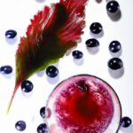 Elderberry Elixir: Nature’s Remedy for Cold Relief