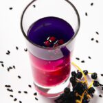 Elderberry Syrup: Nature’s Remedy to Fight Colds Fast