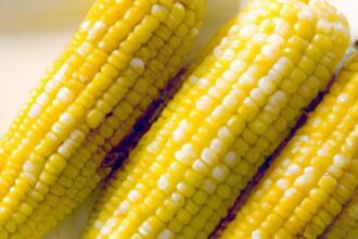 Golden Delight: The Ultimate Guide to Corn on the Cob
